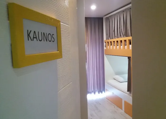 Hostel Sakura *