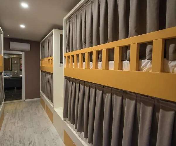 Sakura * 费特希耶